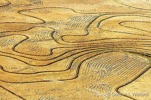 Field Contours_29868.jpg - Aerial photographed along the Gulf coast near Port Lavaca, Texas, USA.